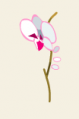Orchifreyesque.png